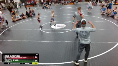 55 lbs Round 3 (3 Team) - Cole Blackwell, Palmetto State Wrestling Academy vs Westyn Small, Eastside