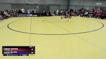 140 lbs Round 2 (8 Team) - Carley Ceshker, Wisconsin vs Alicen Dillard, Texas Blue