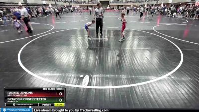 50-55 lbs 3rd Place Match - Brayden Ringelstetter, Minnesota vs Parker Jenkins, RT Elite Wrestling