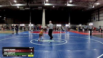 65 lbs Round 2 - Aaron Bonds, Great Neck Wrestling Club vs Aria Shifflet, Clinic Wrestling