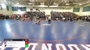 132 lbs Quarterfinal - Anthony Fernandez, Nashua South vs Ben Little, Timberlane