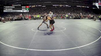 D2-113 lbs Champ. Round 1 - Tim Hanna, North Branch HS vs Calvin Slewa, Center Line HS