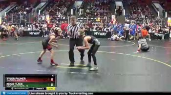 67 lbs Semis & 1st Wrestleback (8 Team) - Tyler Palmer, Jackson Northwest vs Knox Plave, South Lyon Matcats