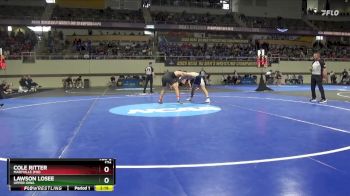 174 lbs Semifinal - Lawson Losee, Upper Iowa vs Cole Ritter, Maryville (MO)