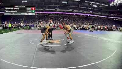 D1-165 lbs Cons. Round 3 - Dominic Nauss, Brighton HS vs Logan Craft, Lakeview HS (St Clair Shores)