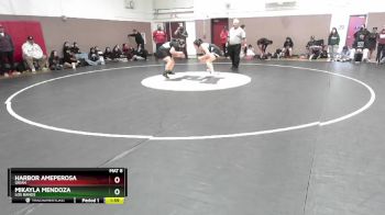 235 lbs Quarterfinal - Harbor Ameperosa, Ukiah vs Mikayla Mendoza, Los Banos