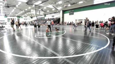 45 lbs Round 5 - Rose Davidson, Slyfox Wrestling Academy vs Addison Caprio, Slyfox Wrestling Academy