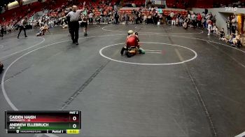 60 lbs Quarterfinal - Caiden Haigh, Wadsworth vs Andrew Ellebruch, BYW