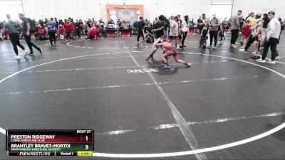 65 lbs Cons. Round 1 - Brantley Bravet-Morton, Spartanburg Wrestling Academy vs Preston Ridgeway, Cobra Wrestling Club