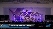 Ultimate Dance & Cheer - All Star Cheer [2023 Junior - Contemporary/Lyrical - Large Day 1] 2023 DanceFest Grand Nationals