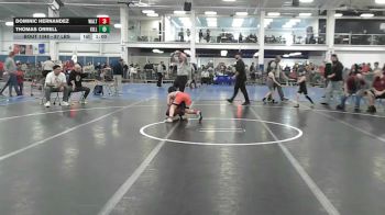 87 lbs 3rd Place - Dominic Hernandez, Waltham vs Thomas Orrell, Killingly