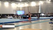 Aidan Li - Vault, Rideau Gymnastics - 2019 Canadian Gymnastics Championships