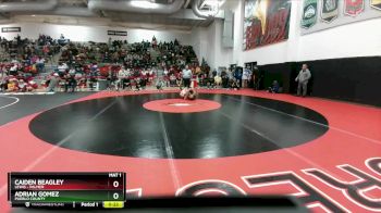 138 lbs Cons. Semi - Adrian Gomez, Pueblo County vs Caiden Beagley, Lewis - Palmer