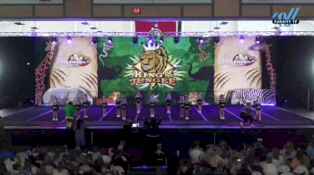 CheerVille HV - Grinches [2024 L1.1 Tiny - PREP Day 1] 2024 ASC King of the Jungle Nashville Showdown