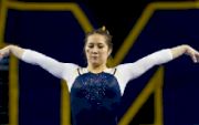 Maize and Blue Soars Past Iowa on Senior Day