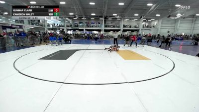 82 lbs Consi Of 16 #2 - Gunnar Clark, Sawali vs Cameron Haley, Wolfgang Wrestling Academy