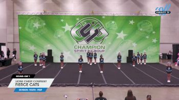 Lions Cheer Company - Fierce Cats [2024 L1.1 Youth - PREP Day 1] 2024 CSG Peoria Challenge