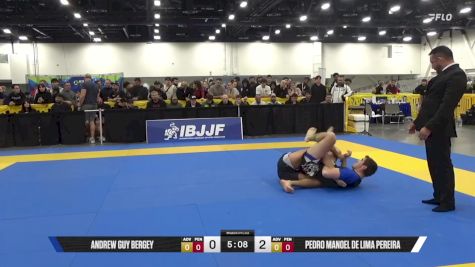 Pedro Manoel De Lima Pereira vs Andrew Guy Bergey 2025 World IBJJF Jiu-Jitsu No-Gi Championship
