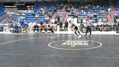 145 lbs Consy Rd Ii - Brandt Harer, Montgomery Area vs Greyson Music, Bishop McDevitt