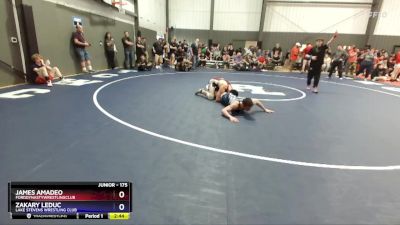 175 lbs Champ. Round 2 - James Amadeo, FordDynastyWrestlingClub vs Zakary LeDuc, Lake Stevens Wrestling Club