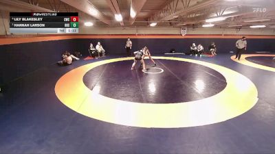 135 lbs Semifinal - Hannah Larson, Riverton High School vs Lily Blakesley, Champions Wrestling Club