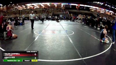 165 lbs Cons. Round 4 - Kirecg Roe, Cass vs Talon Campbell, Ashley Ridge