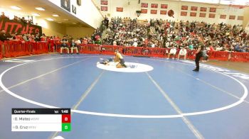 106 lbs Quarterfinal - Devon Mateo, West Springfield vs Diego Cruz, Mount Everett