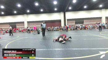 65 lbs Quarterfinal - Nico Distasio, Region Wrestling Academy vs Aviyahn Mills, Roundtree Wrestling Academy