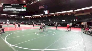 209 lbs 7th Place Match - Haden Neff, BLA3 vs Michael Hamsher, GAW1