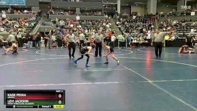 65 lbs Cons. Round 3 - Levi Jackson, Moen Wrestling Academy vs Kade Peska, WRATH