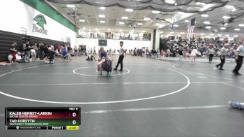 175 lbs Quarterfinal - Kaleb Herbst-larkin, Dallas Center-Grimes vs Tad Forsyth, Southwest Timberwolves Kids