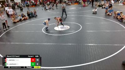 60 lbs Round 3 (3 Team) - Tanner James, Palmetto State Wrestling Academy vs Dalton Jackson, Eastside