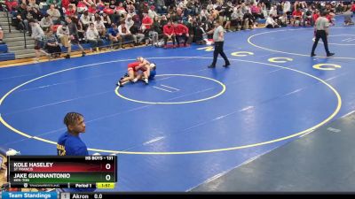 131 lbs Champ. Round 2 - Kole Haseley, St Francis vs Jake Giannantonio, Ken-Ton