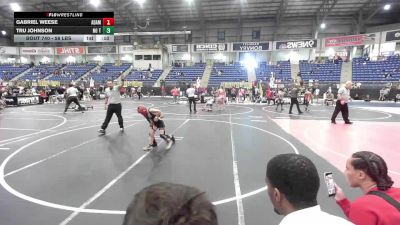 58 lbs Consolation - Gabriel Weese, Adams City WC vs Tru Johnson, No Team