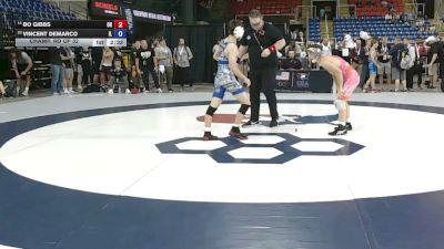 113 lbs Champ. Rd Of 32 - Bo Gibbs, Ohio vs Vincent DeMarco, Illinois