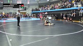 110 lbs Champ. Round 1 - Addison Beckman, Grinnell vs Callie Nosbisch, Vinton-Shellsburg