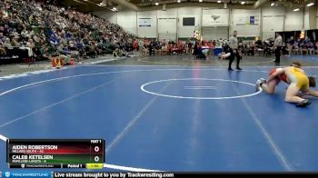 170 lbs Semis & 1st Wrestleback (8 Team) - Aiden Robertson, Millard South vs Caleb Ketelsen, Papillion-LaVista