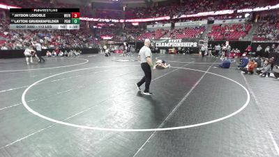 113 lbs Quarters - Layton Gruenenfelder, Pecatonica/Argyle vs Jaydon LeNoble, Weyauwega-Fremont