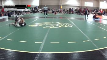 157 lbs Cons. Round 3 - Luke Robards, University Of Indianapolis vs Cale Hoskinson, McKendree