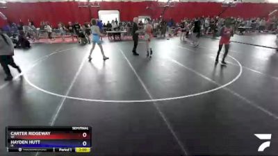 119 lbs Semifinal - Carter Ridgeway, WI vs Hayden Hutt, IA