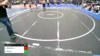 89 lbs Consi Of 4 - Logan Alexander, USA Gold vs Anthony Garza, RedWave Wrestling