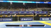 Adam Victor Potamkin vs Andrew Jacob Wilcox 2026 Pan Jiu Jitsu IBJJF Championship