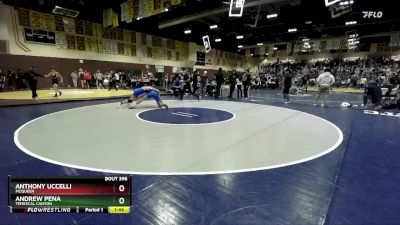 165 lbs Champ. Round 2 - Anthony Uccelli, McQueen vs Andrew Pena, Temescal Canyon