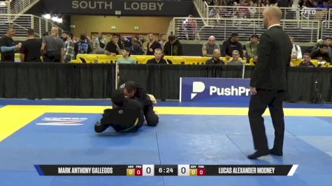 Lucas Alexander Mooney vs Mark Anthony Gallegos 2025 Pan Jiu Jitsu IBJJF Championship