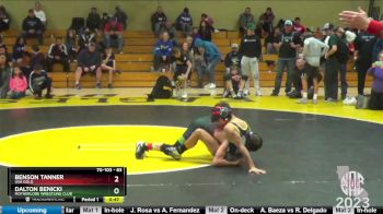 83 lbs Quarterfinal - Dalton Benicki, Motherlode Wrestling Club vs Benson Tanner, USA Gold