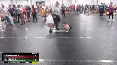 45 lbs Round 3 - Logan Derrico, Richmond Hill Wrestling Club vs Eli Franklin, Mighty Warriors Wrestling Acad