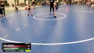 77 lbs Placement Matches (8 Team) - Cole Simpson, Black Fox Wrestling Team 1 vs Charlie Haneborg, Midwest Destroyers