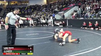 113 lbs Semis - CJ Martin, Mount Vernon vs Lane Travis, Creston