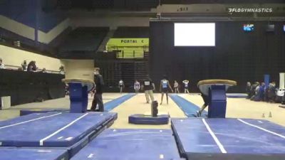 Justin Ciccone - Vault, Bright Raven NY - 2021 USA Gymnastics Development Program National Championships