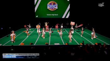 Tuckahoe High School [2026 Cheer - Small Varsity Non Tumbling Division II Game Day Prelims] 2026 UCA National High School Cheerleading Championship DII